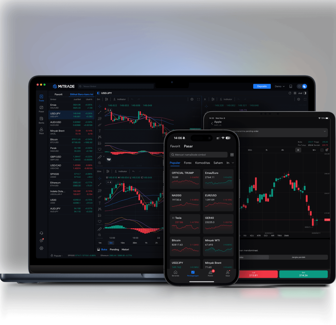 applicationMobile