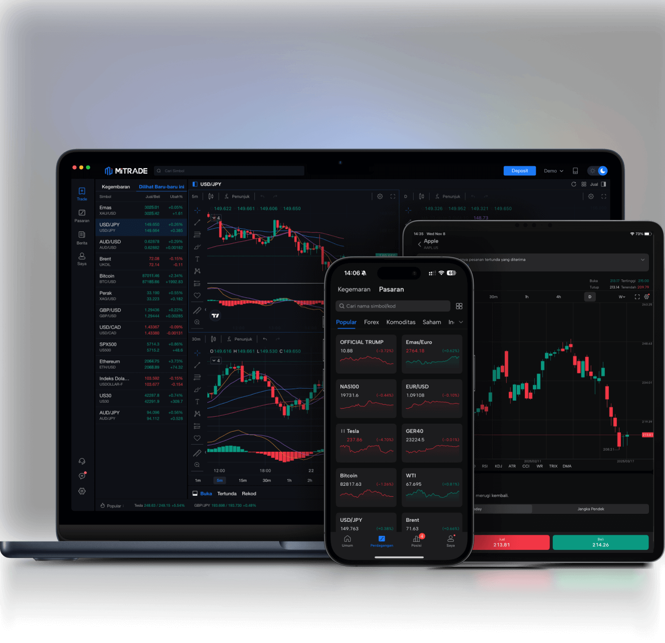 applicationMobile