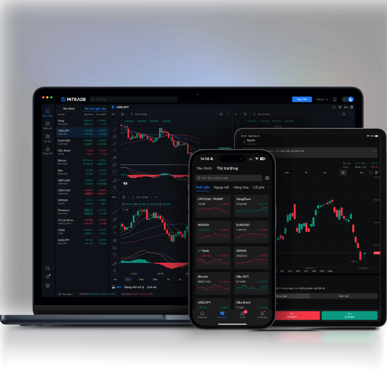 applicationMobile
